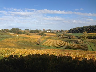 Domaine Des Palmiers SCEA Des Vignobles Fraigneau, Vignoble à Sainte-Croix-du-Mont