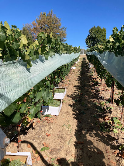 Domaine Col Rouge, Vignoble à Ur