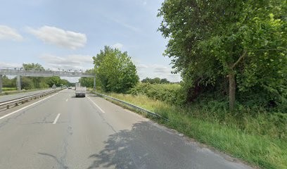 Pardela Wines, Vignoble à Vayres