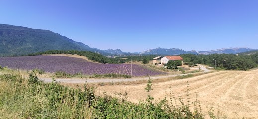 Le Champ du Possible, Vignoble à Laragne-Montéglin