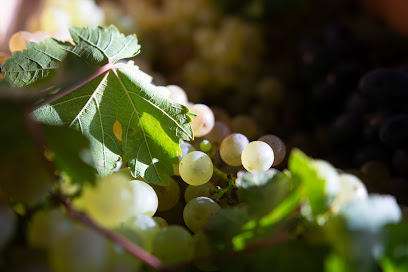 Château Roc De Cayla Vignoble à Soulignac