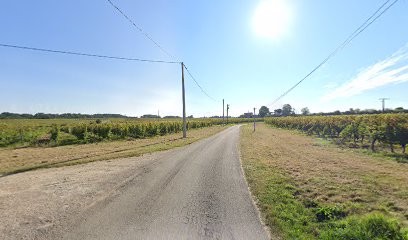 Château Fourreau, Vignoble à Pujols