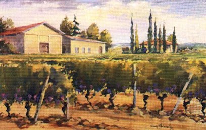 Chateau Viramon, Vignoble à Saint-Étienne-de-Lisse