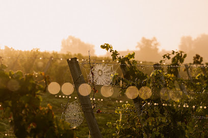 Clos Des Gommiers Vignoble à Saint-Caprais-de-Bordeaux