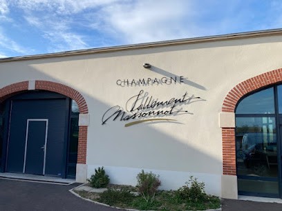 Champagne Lallement Massonnot Winery, Vignoble à Coulommes-la-Montagne
