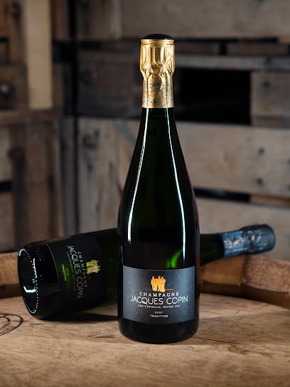 Champagne Jacques Copin, Vignoble à Verneuil