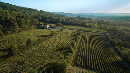 Château Saint Pons, Vignoble à Villars