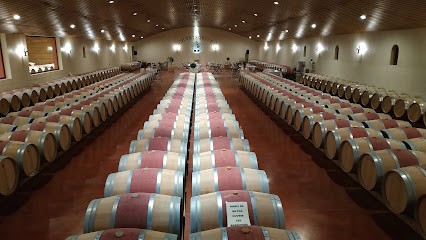 Château Chantegrive, Vignoble à Podensac