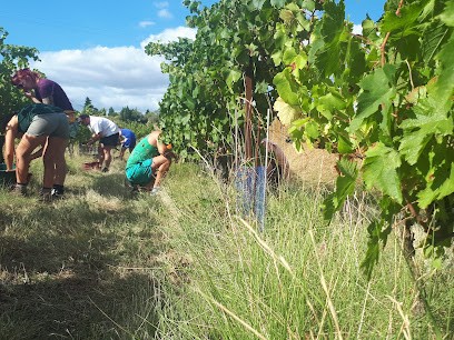 ​Domaine de Villarzens​​, Vignoble à Bram