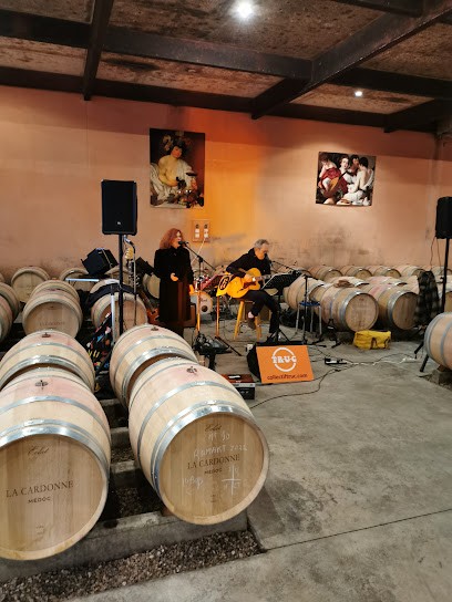 Château La Cardonne, Vignoble à Bégadan