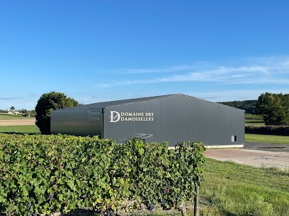 Vignoble Retif - Domaine Des Damoiselles, Vignoble à Souzay-Champigny