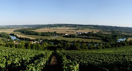 Champagne Rahault, Vignoble à Saint-Denis-lès-Rebais