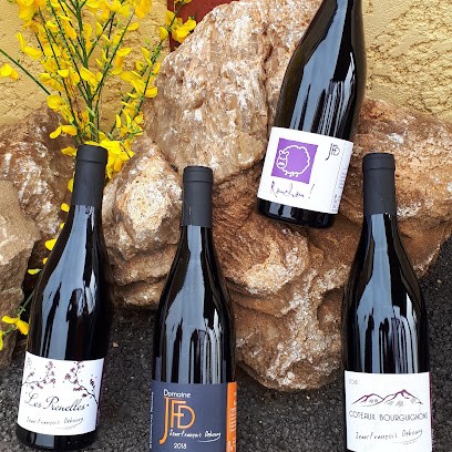 Debourg Jean Francois, Vignoble à Saint-Germain-Nuelles