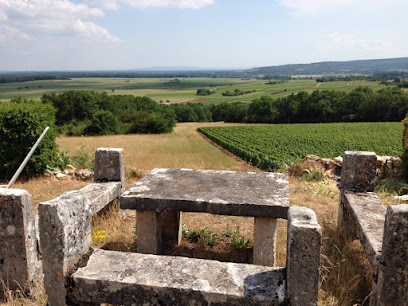 Domaine De La Tour Saint-Hilaire Vignoble à Fontaines