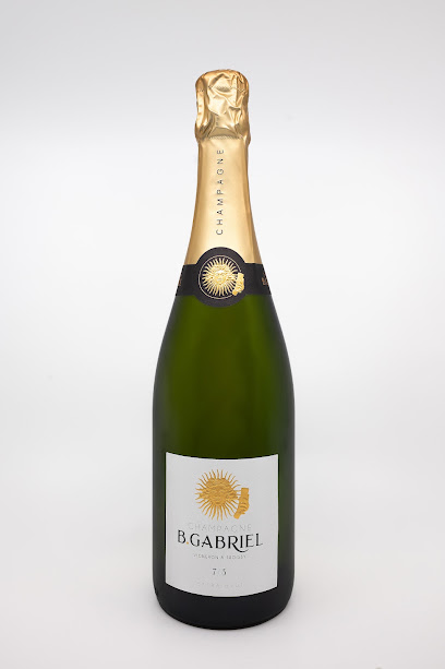 Champagne B. Gabriel Vignoble à Troissy