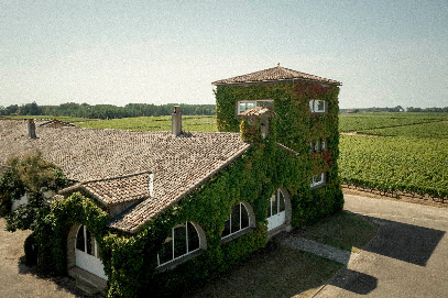 Château Rieussec Vignoble à Fargues