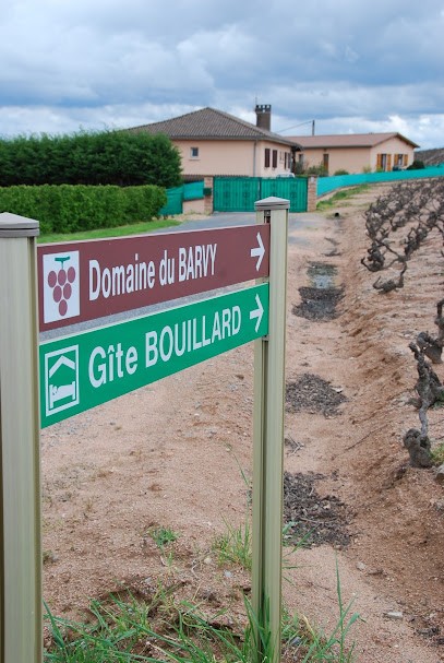 Domaine Du Barvy EARL, Vignoble à Odenas