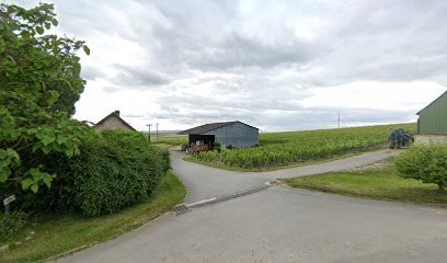 Champagne Dekeyne & fils, Vignoble à Bethon