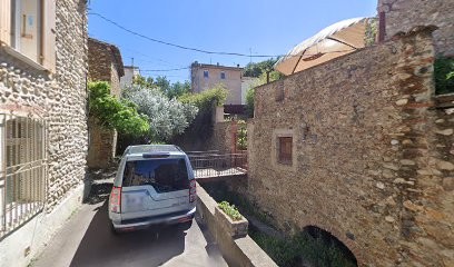Grape And Wine, Vignoble à Saint-Féliu-d'Avall