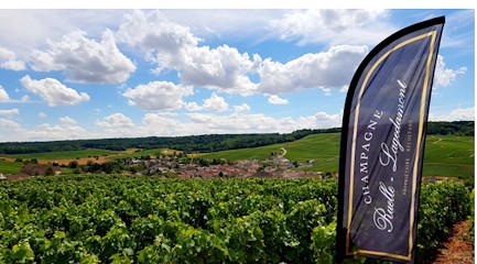 Champagne Ruelle lagedamont, Vignoble à Grauves