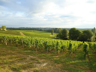 Château Valandraud - Thunevin SAS, Vignoble à Saint-Étienne-de-Lisse