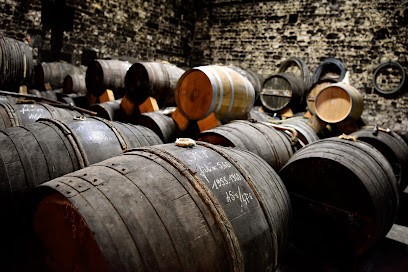 Cognac Jean Fillioux, Vignoble à Juillac-le-Coq