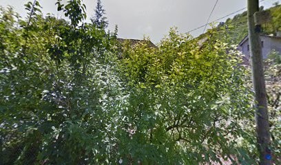 DOMAINE DE LA CAROLIE, Vignoble à Valady