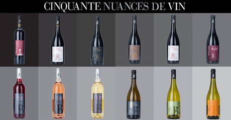 Domaine Bastide Jourdan Producteur Récoltant, Vignoble à Bollène