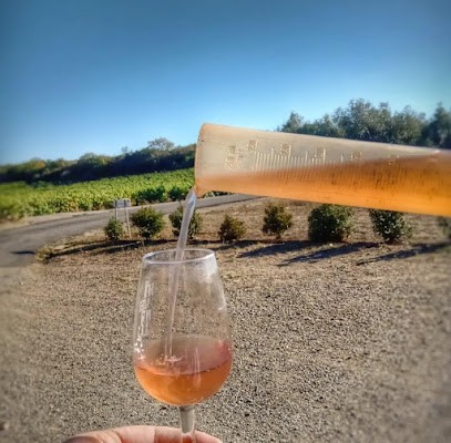 Domaine Les Asphodèles, Vignoble à Saint-Chinian