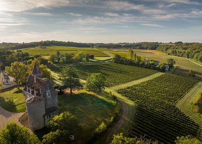 Château de Birazel, Vignoble à Saint-Hilaire-de-la-Noaille