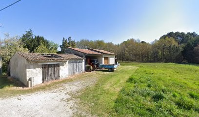 Bon Alain, Vignoble à Avensan