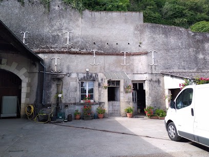 Domaine des Bergeons, Vignoble à Noizay