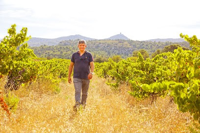 DOMAINE VAL DE RAY, Vignoble à Tautavel