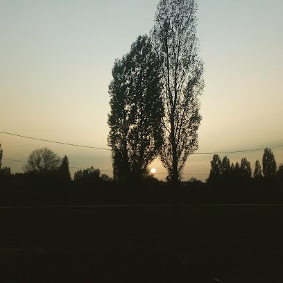 Chateaux Le Buisson Mr Lejas Dominique, Vignoble à Saint-Méard-de-Gurçon