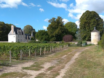 Castle Couldraies, Vignoble à Saint-Georges-sur-Cher