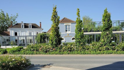 Champagne Henri Giraud, Vignoble à Aÿ-Champagne