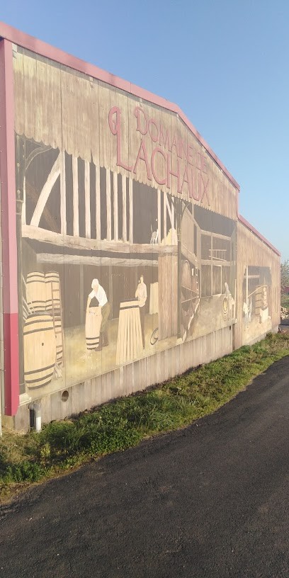 Sciortino Thierry Et Yolande, Vignoble à Vic-le-Comte