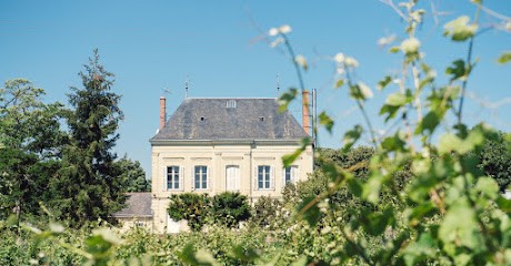 Domaine de l'Enchantoir, Vignoble au Puy-Notre-Dame
