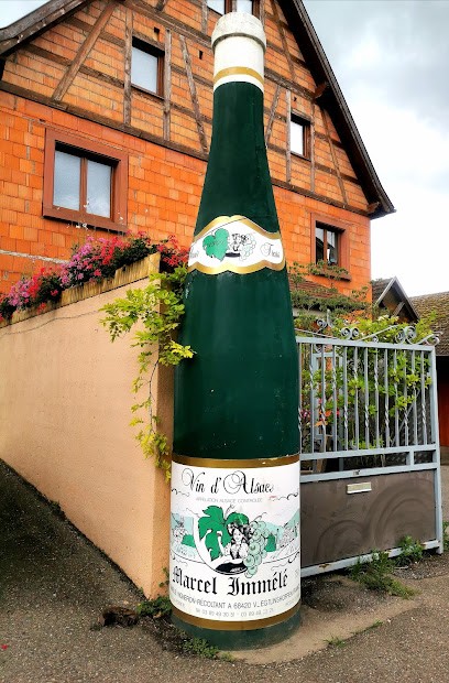 Cave Marcel Immelé, Vignoble à Voegtlinshoffen