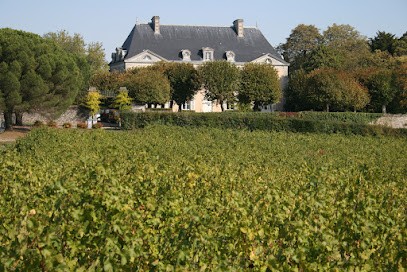 Domaine Aux Moines, Vignoble à Savennières