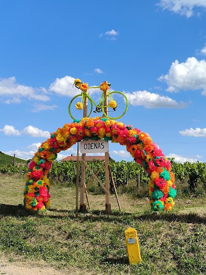 Duvernay Marc, Vignoble à Odenas