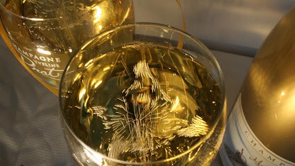 Champagne Yveline Prat, Vignoble à Vert-Toulon