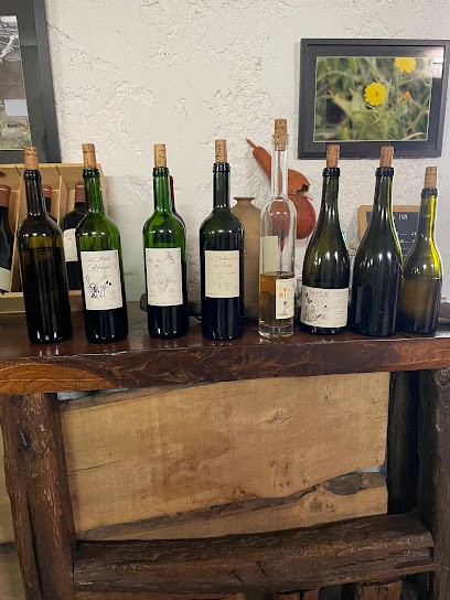 Domaine Du Pech - Daniel Tissot, Vignoble à Sainte-Colombe-en-Bruilhois