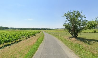 Château Strévic-Godineau, Vignoble à Vérac