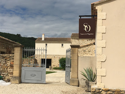 Domaine Sources De L'oppidum Vignoble à Gaujac