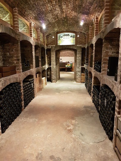 Domaine Jean-Marie Penet, Vignoble à Oisly