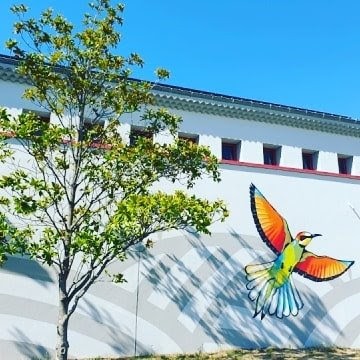 Cave Coopérative, Vignoble à Saint-Pantaléon-les-Vignes