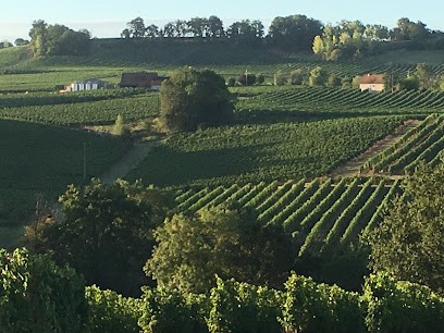 Domaine de Pécoula, Vignoble à Pomport