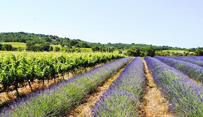 Domaine La Gontarde, Vignoble à Visan