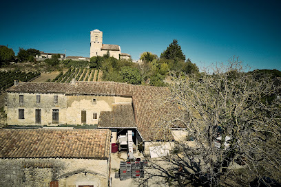 Domaine Baudon Vignoble à Montagne